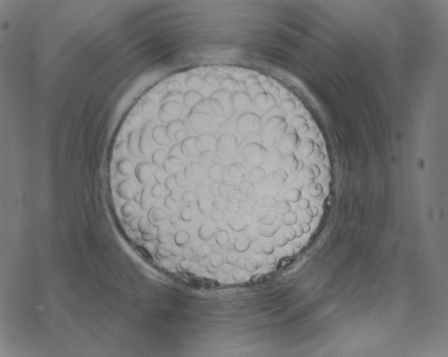 X0000078261432200612011643