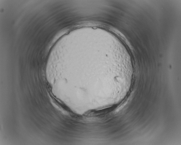 X0000078261433200612011643