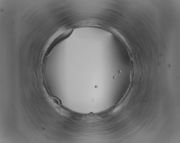 X0000078261434200612011643