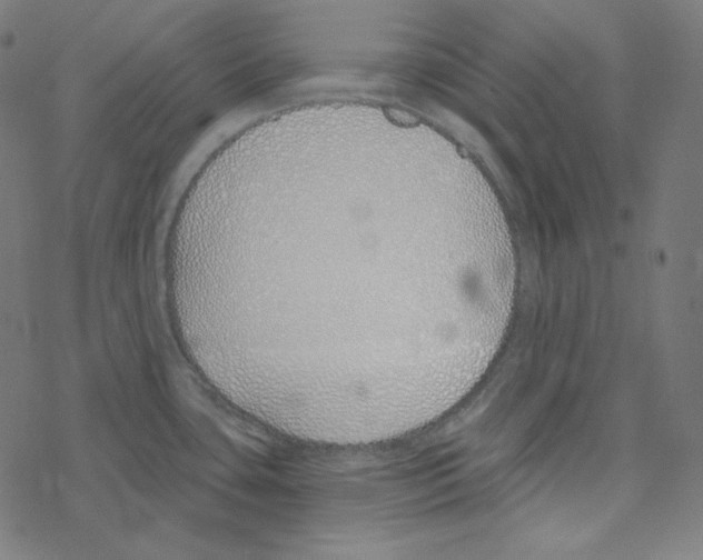 X0000078261435200612011643