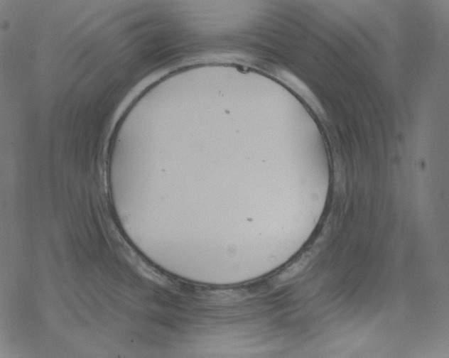 X0000078261436200612011643