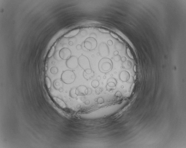 X0000078261437200612011643