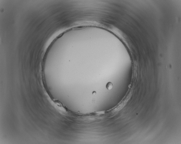 X0000078261438200612011643