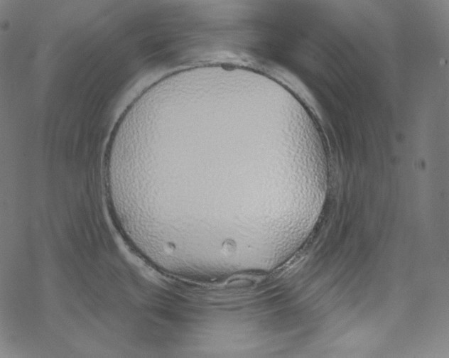 X0000078261439200612011643