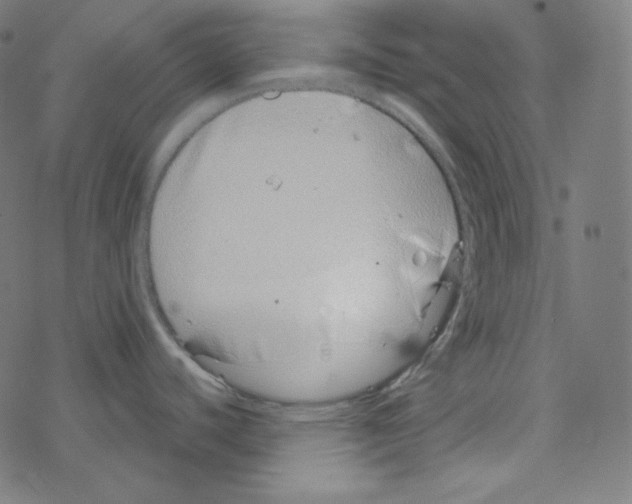 X0000078261440200612011643