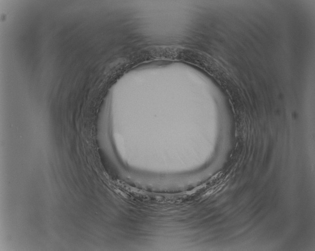 X0000078261441200612011643