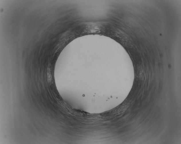 X0000078261442200612011643