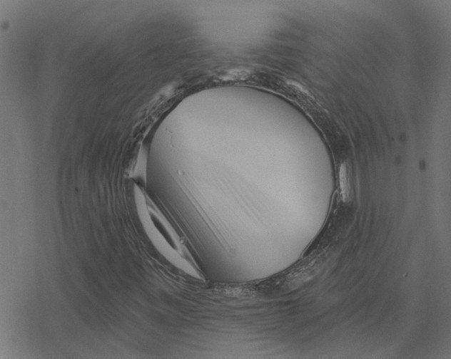 X0000078261443200612011643