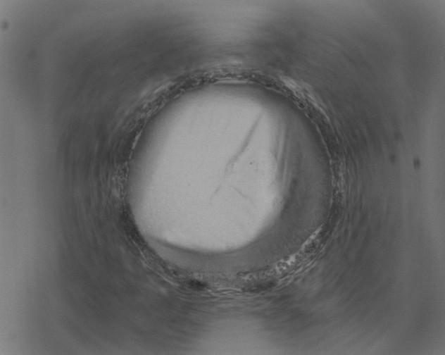 X0000078261445200612011643