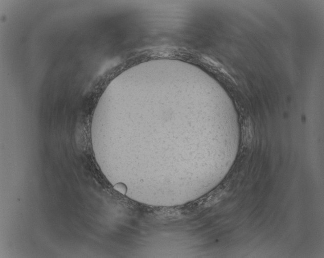 X0000078261446200612011643