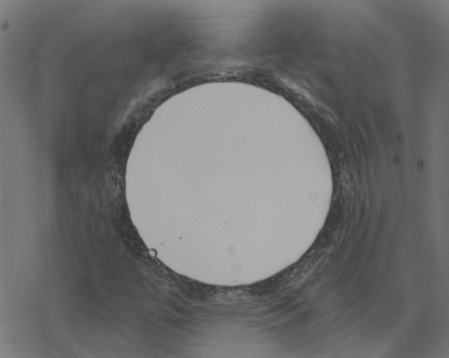 X0000078261447200612011642