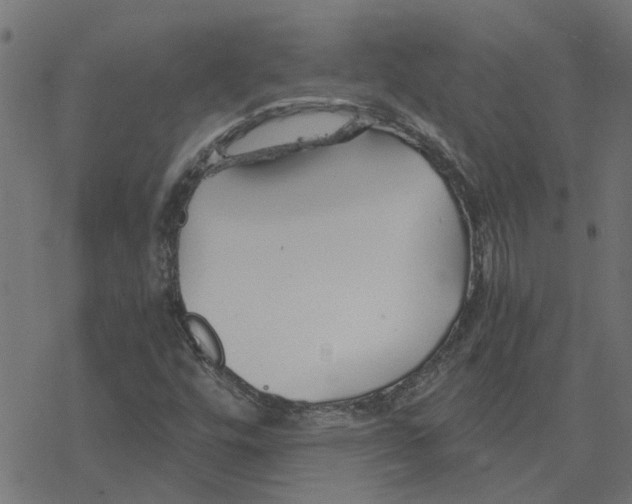 X0000078261448200612011642