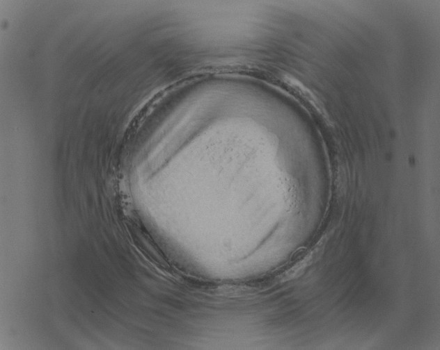 X0000078261449200612011642