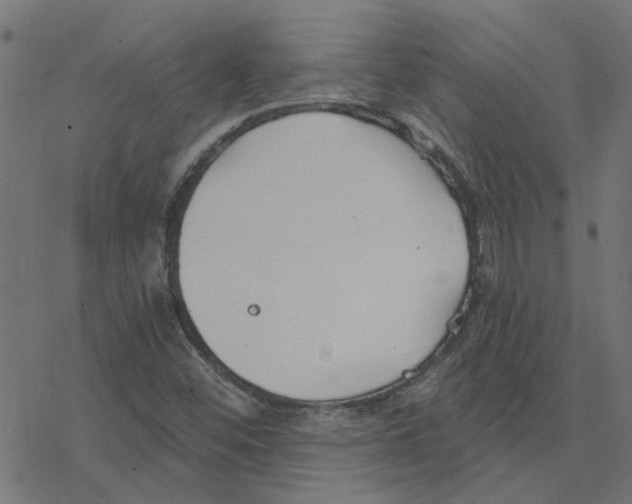 X0000078261452200612011642