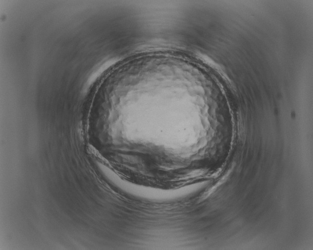 X0000078261453200612011642