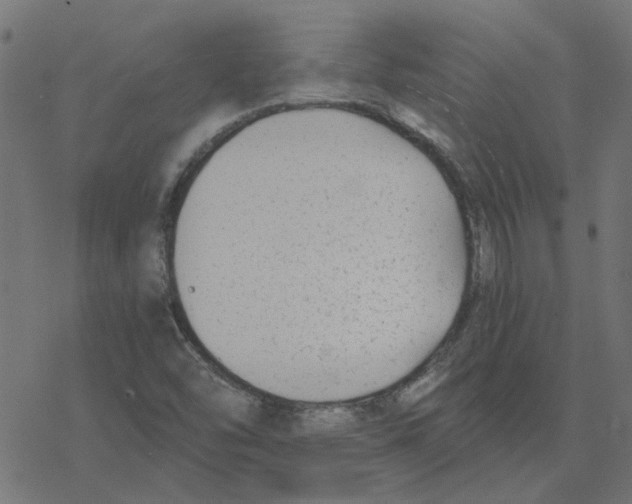 X0000078261454200612011642