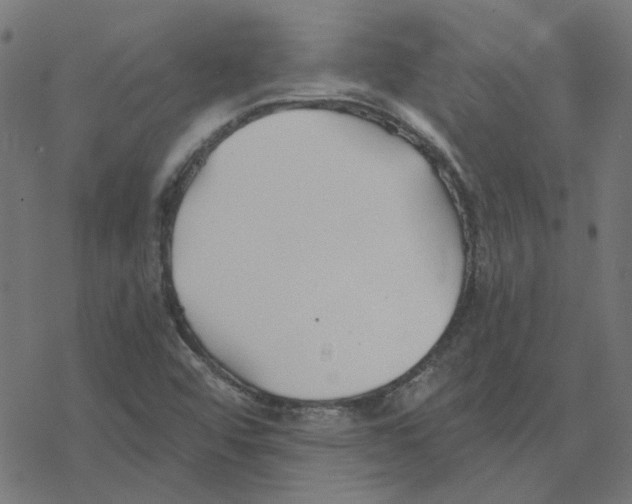 X0000078261456200612011642