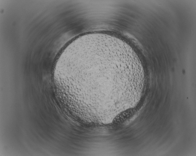 X0000078261457200612011642