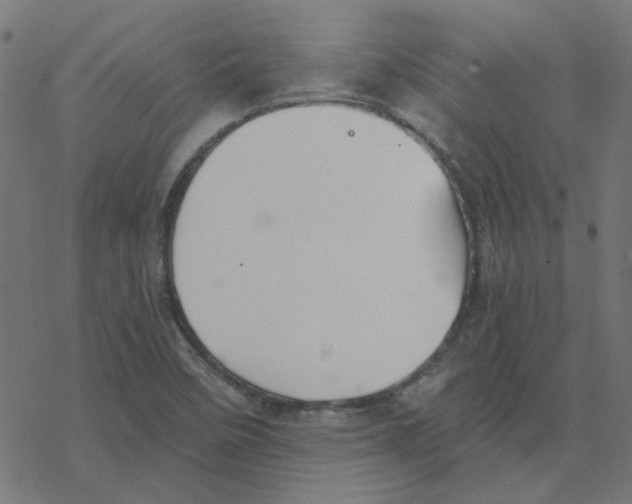 X0000078261458200612011642