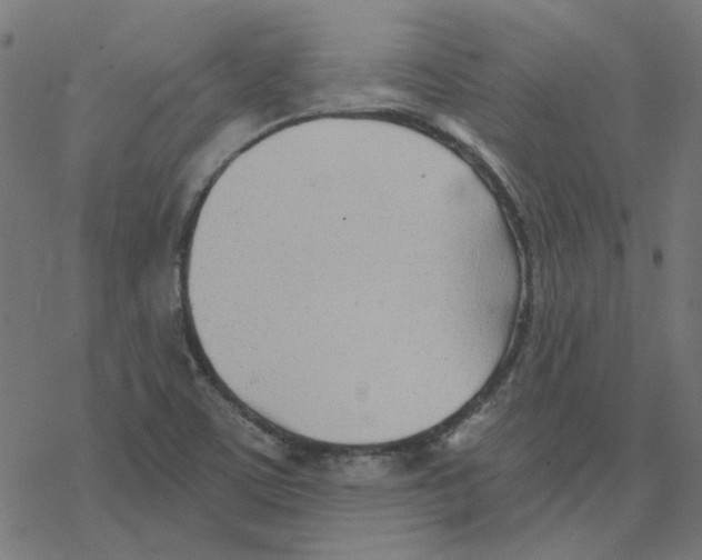 X0000078261459200612011642