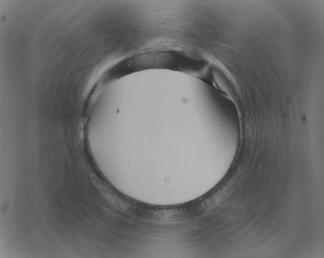 X0000078261461200612011642