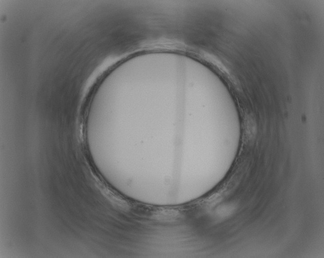 X0000078261462200612011642