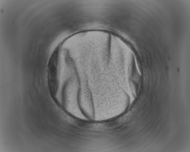 X0000078261463200612011642