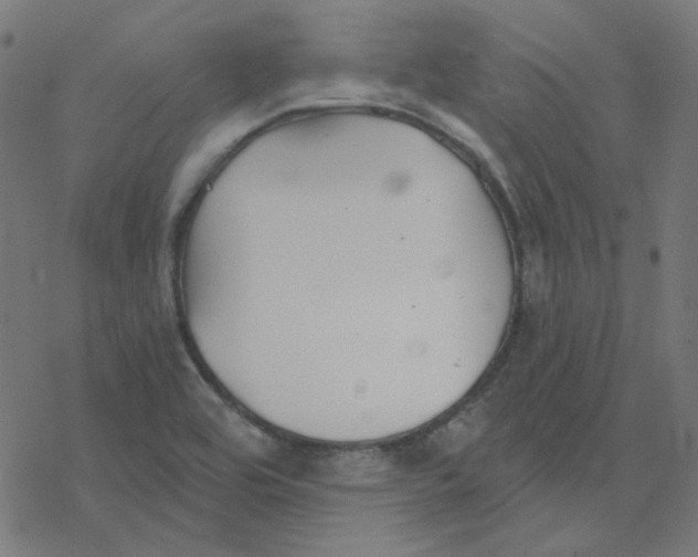 X0000078261464200612011642