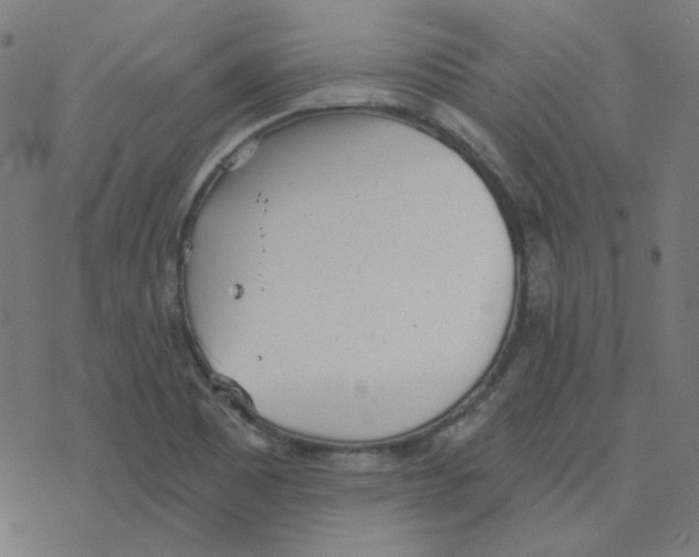 X0000078261465200612011642