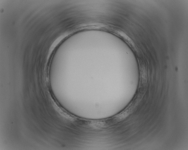 X0000078261466200612011642