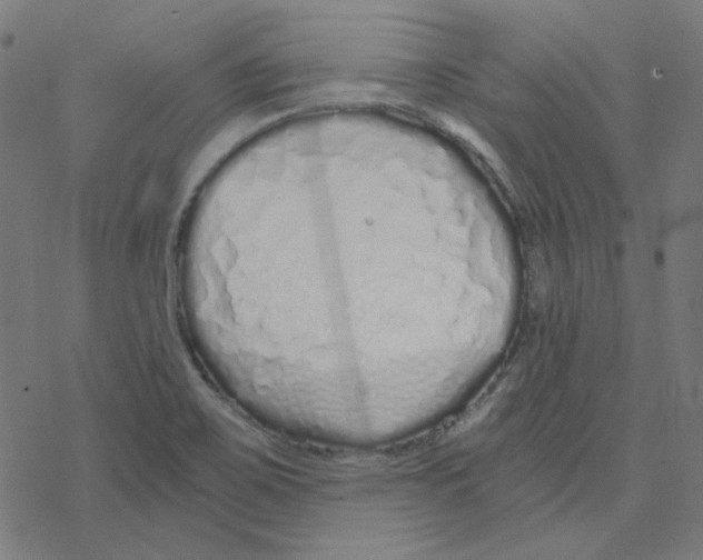 X0000078261467200612011642