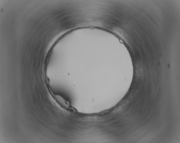 X0000078261468200612011642