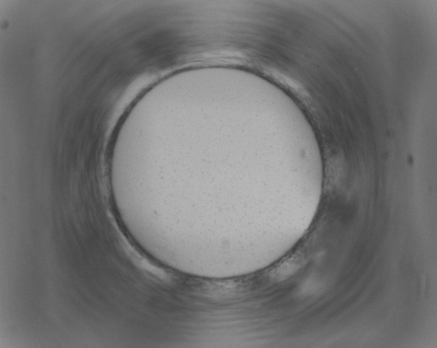 X0000078261470200612011642