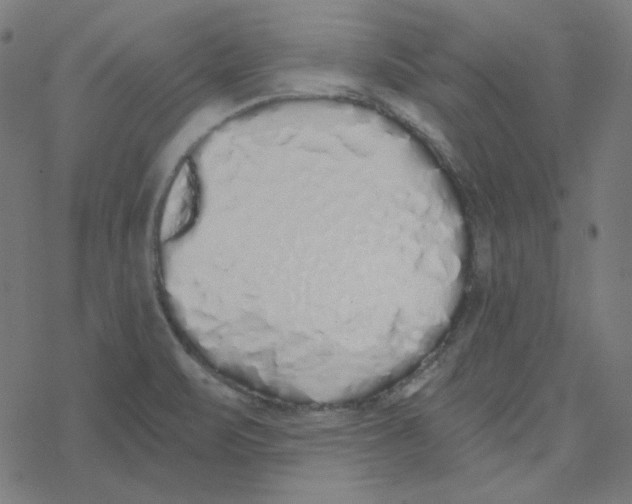 X0000078261471200612011642