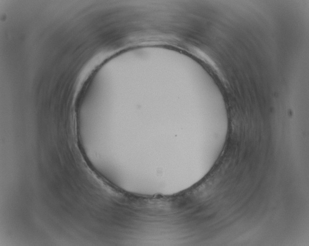 X0000078261472200612011642