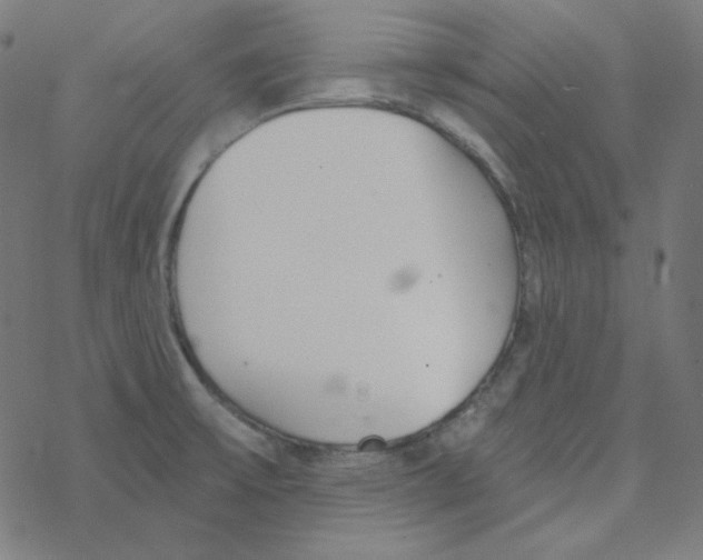 X0000078261475200612011642