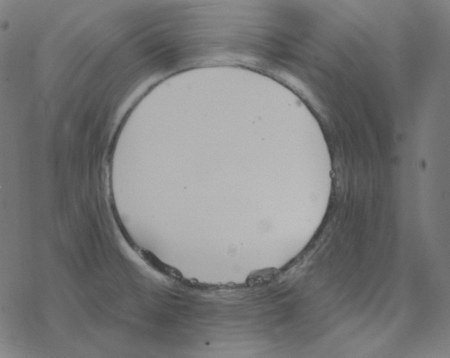 X0000078261476200612011642