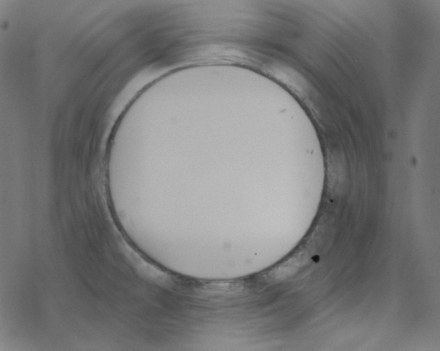 X0000078261478200612011642