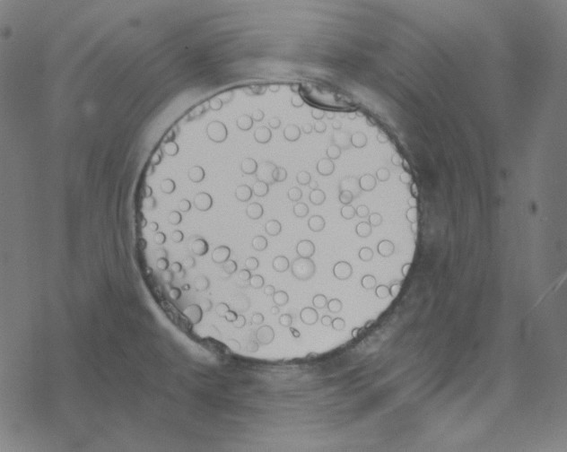 X0000078261479200612011642