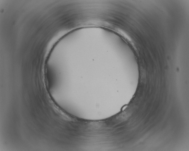 X0000078261480200612011642