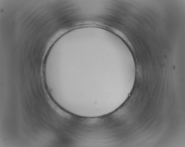 X0000078261482200612011642