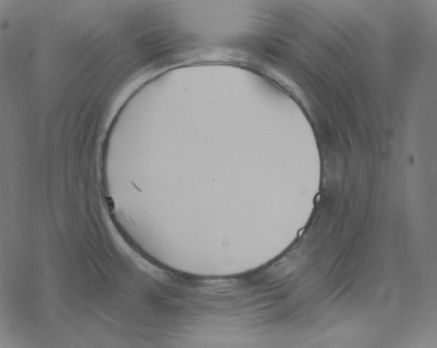 X0000078261483200612011642