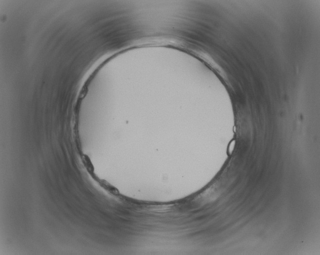 X0000078261484200612011642