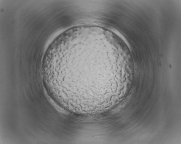 X0000078261485200612011642