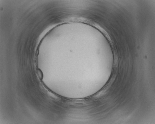 X0000078261486200612011642