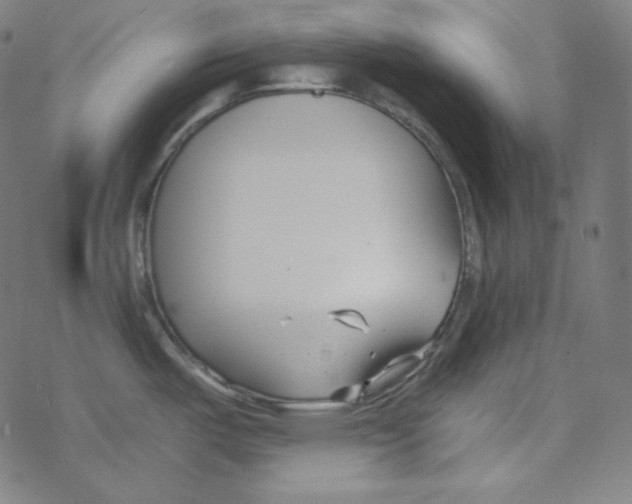 X0000078261487200612011642