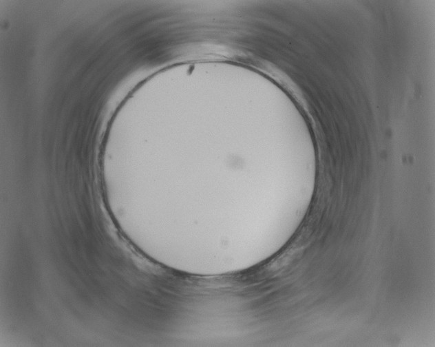 X0000078261488200612011642