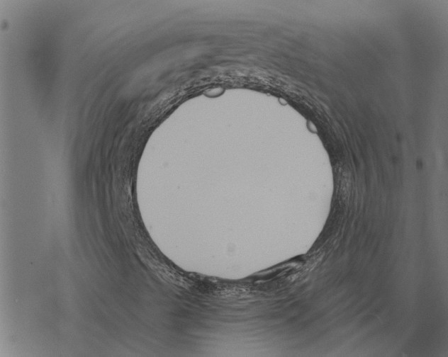 X0000078261489200612011641