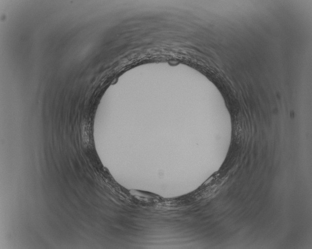 X0000078261490200612011641