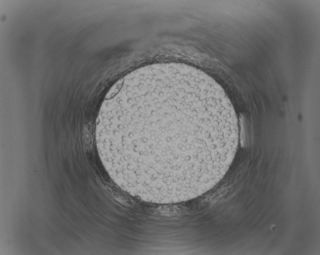 X0000078261491200612011641